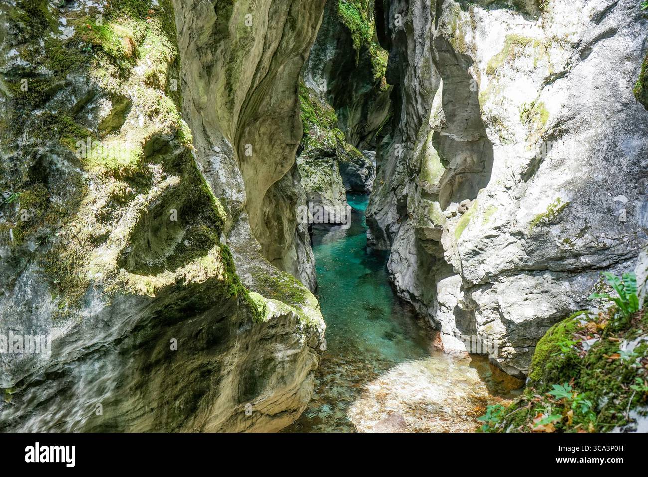 Gorge de Tolmin, parc national du Triglav, Slovénie Banque D'Images