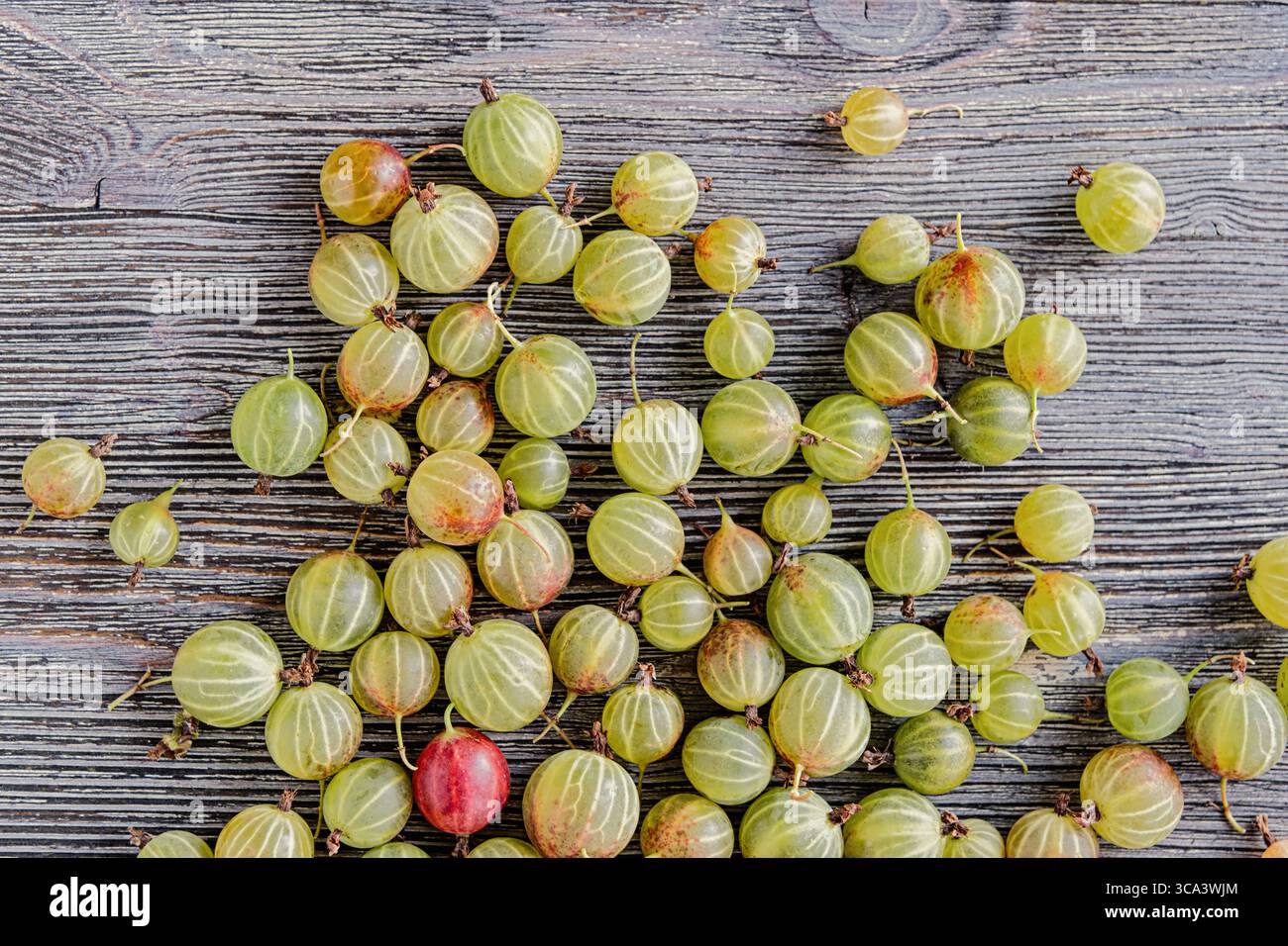 Fruits frais de groseille à maquereau de couleur verte éclatante dispersés sur une table en bois rustique, mettant en valeur des produits biologiques. Texture naturelle, mûre, collation saine, pe Banque D'Images