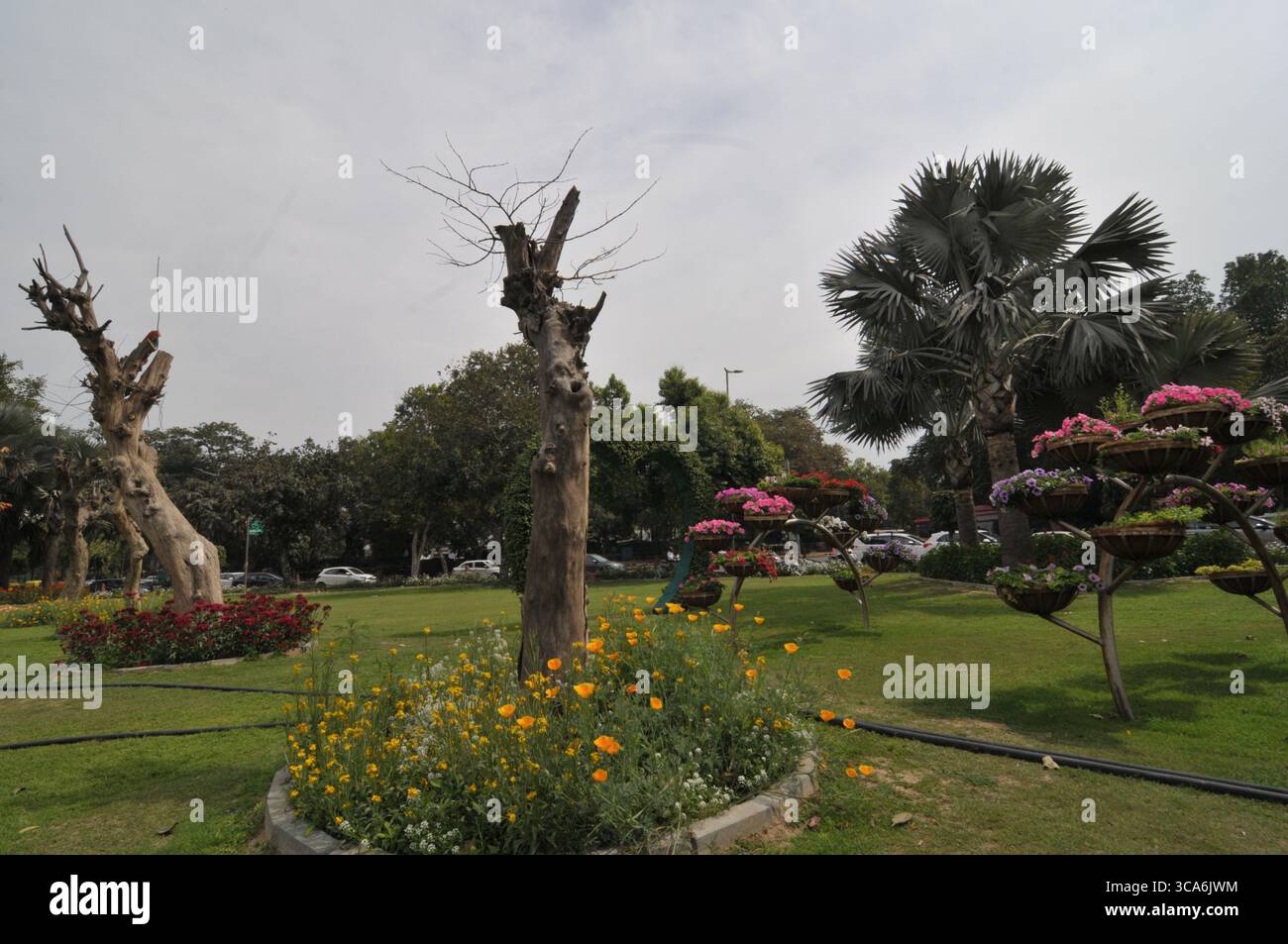 7 février 2023, New Delhi, Delhi, Inde : décoration de fleurs en rond autour des routes, au grand cercle près de Cannaught place, (crédit image : © ravi Batra/ZUMA Press Wire) Banque D'Images