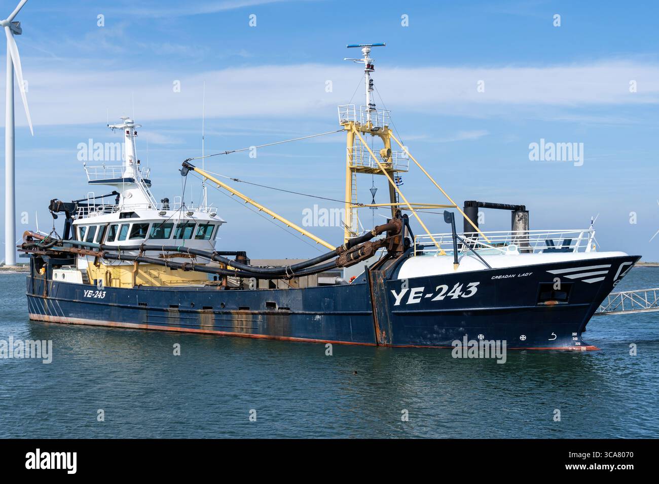 Coupe-moules YE-243 Creadan Lady Banque D'Images