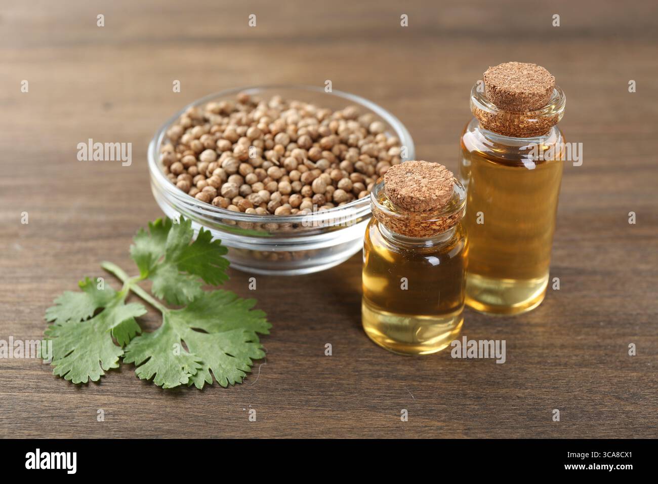 Huile aromatique en bouteilles, feuilles de coriandre et graines de coriandre sur table en bois, gros plan Banque D'Images