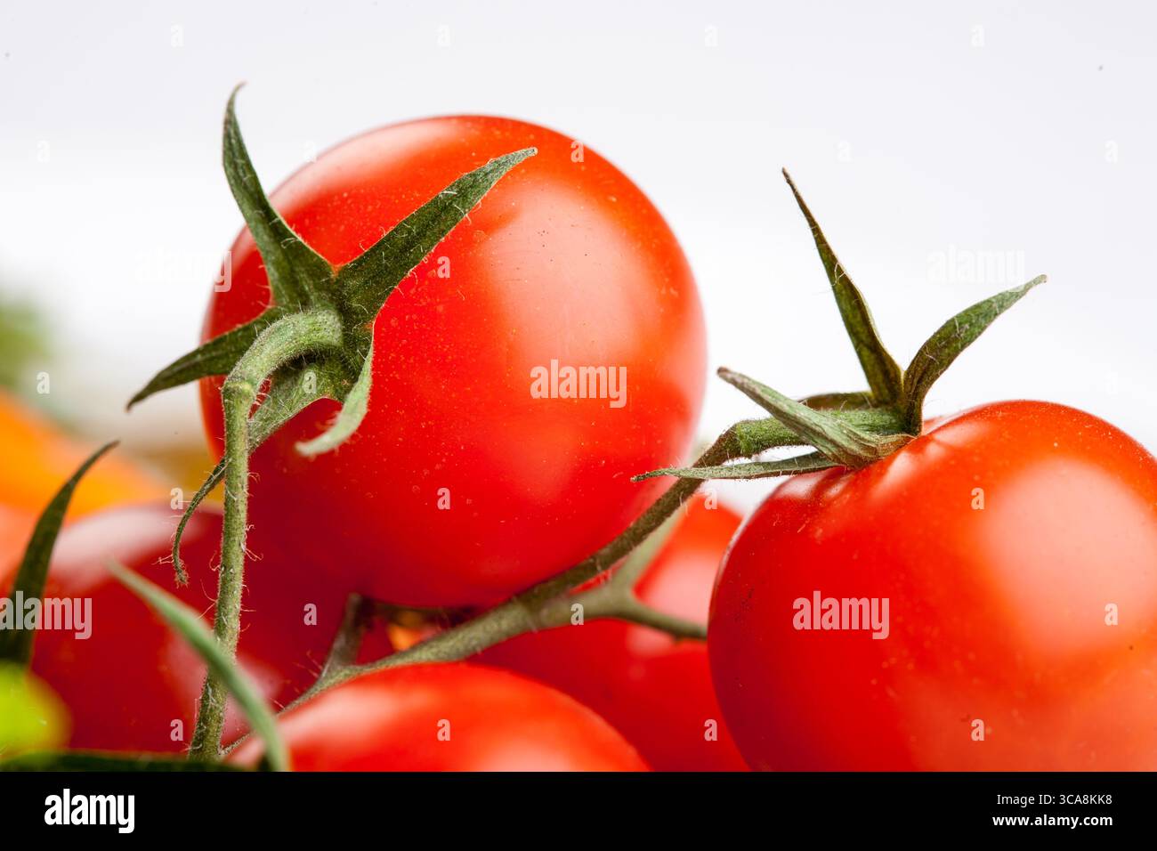 Image de studio de tomates joyeuses fraîches avec fond blanc Banque D'Images