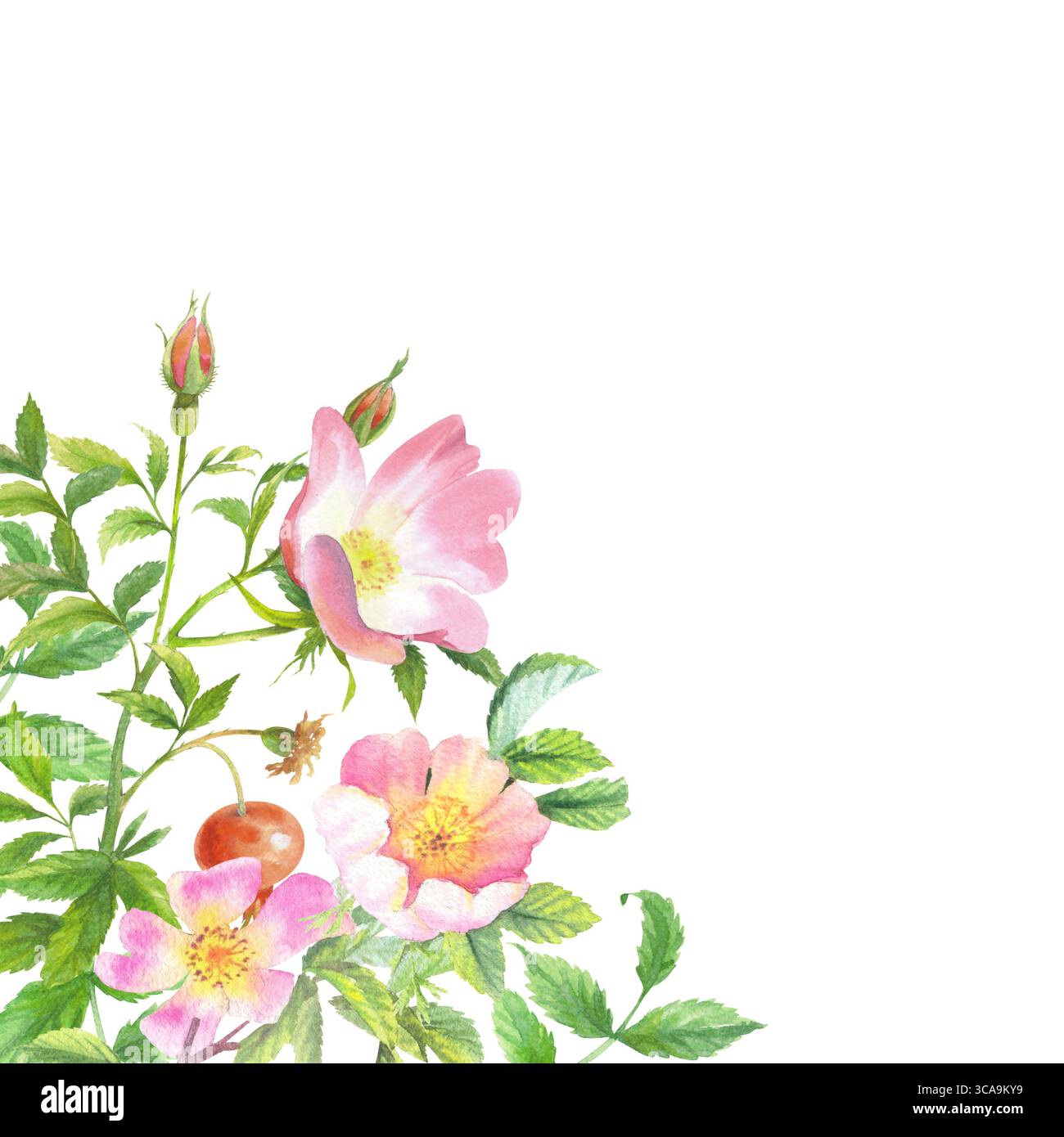 Cadre d'angle de berge. Oeuvre d'art à l'aquarelle faite à la main. Pour la conception d'emballage, les cartes, la couverture, les impressions, les étiquettes de produits et le tissu. Banque D'Images