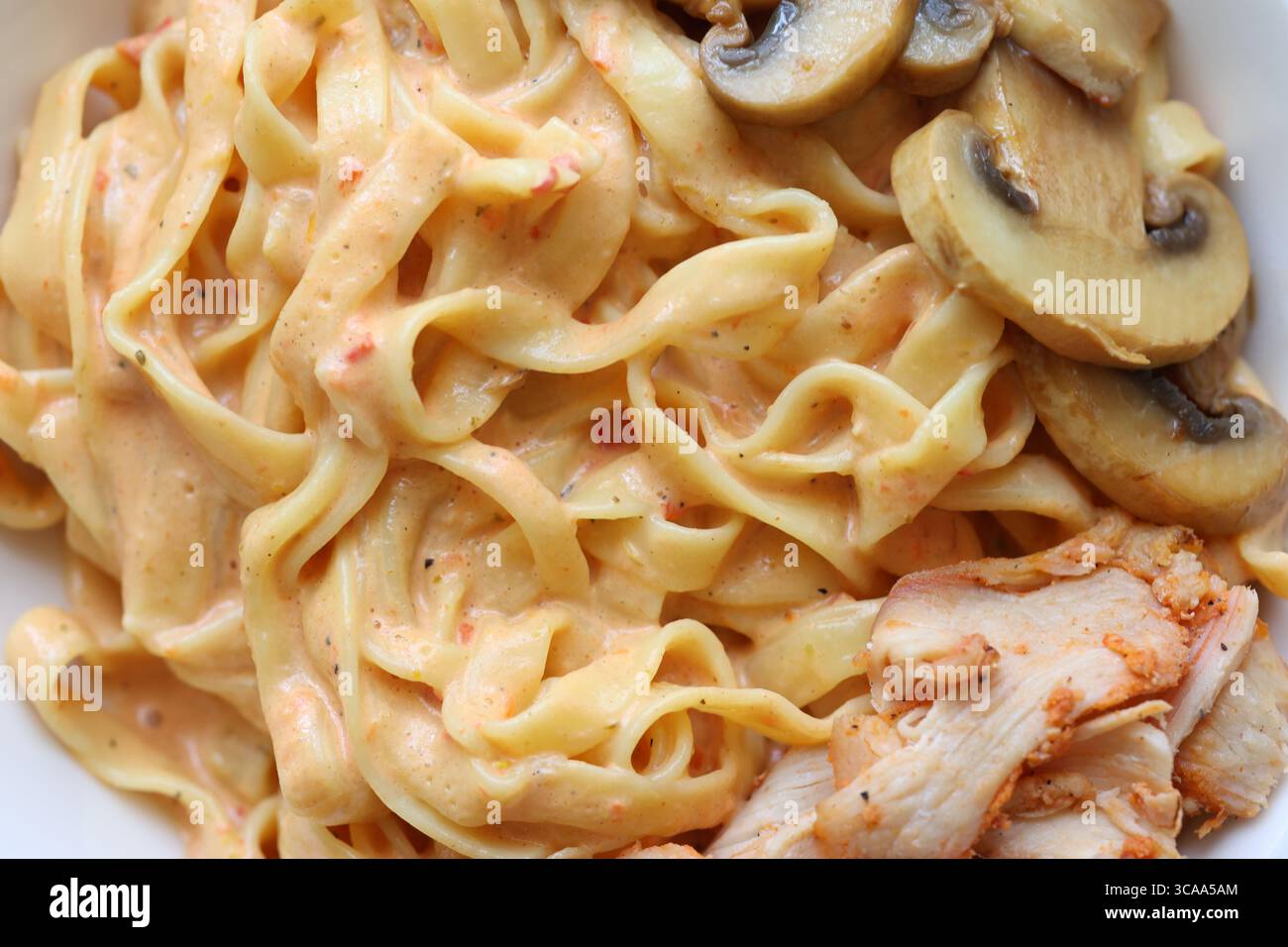 Champignons crémeux et poulet Méditerranée Tagliatelle Pasta Close up Banque D'Images