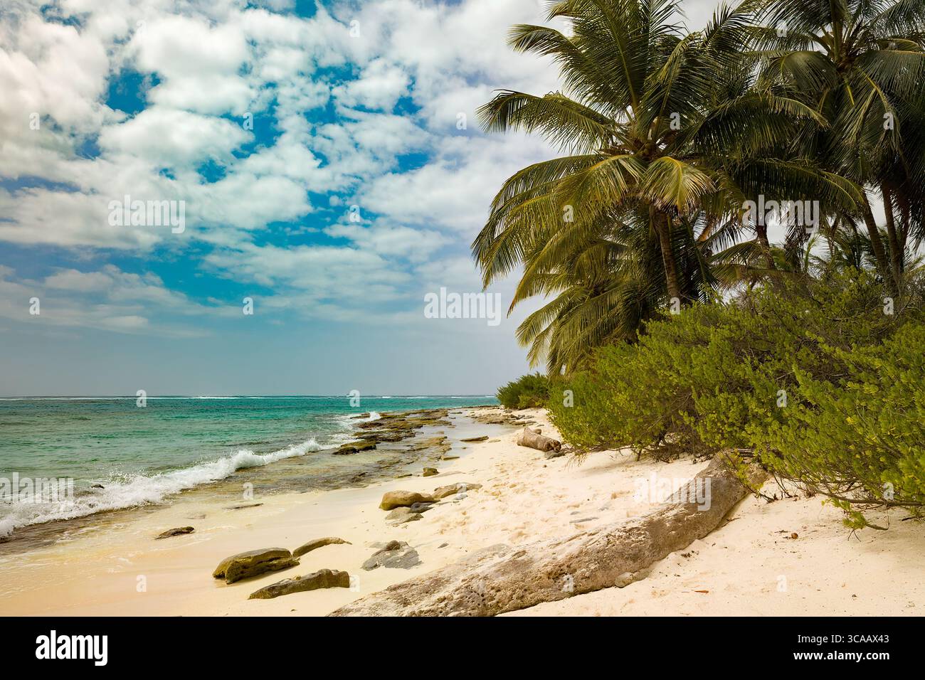 La beauté sereine de Johnny Cay dans l'archipel de San Andrés, en Colombie, avec une plage immaculée et une végétation tropicale luxuriante. Banque D'Images