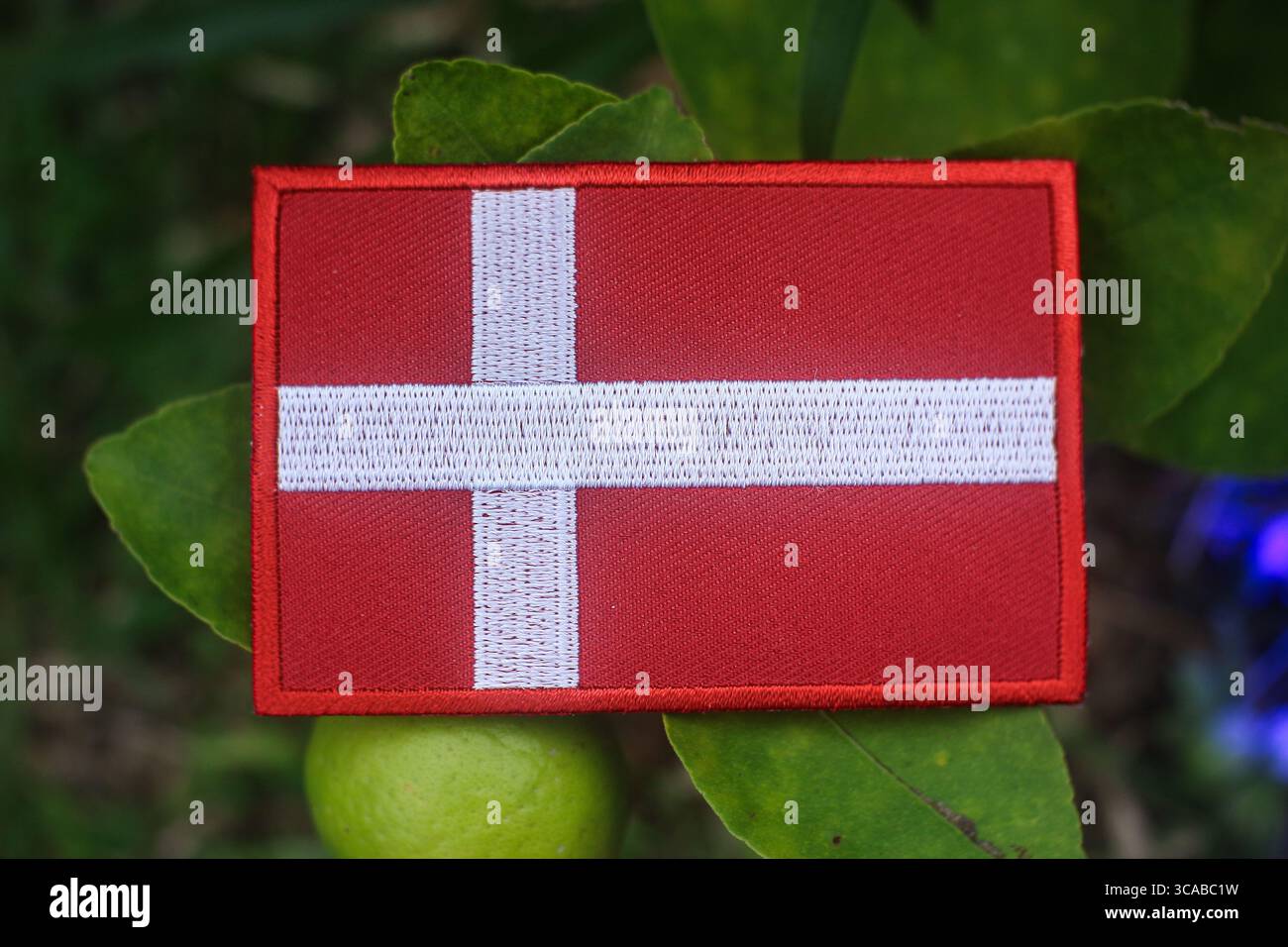 Drapeau danois brodé écologique sur le citronnier avec des citrons verts, lumière naturelle du soleil, symbole de durabilité, jour de la Terre et sensibilisation au changement climatique. Banque D'Images