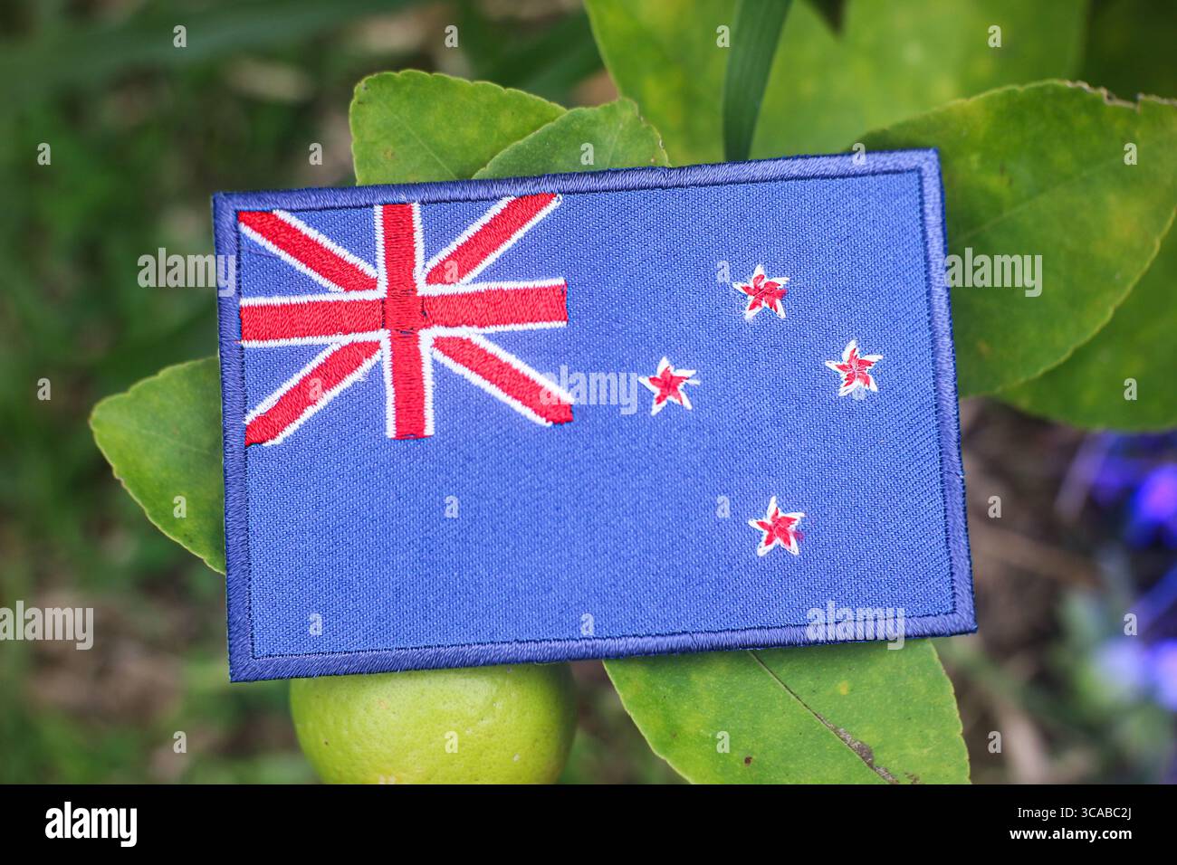 Drapeau écologique brodé de Nouvelle-Zélande sur le citronnier avec des citrons verts, lumière naturelle du soleil, symbole de durabilité, jour de la Terre, et sensibilisation au changement climatique Banque D'Images