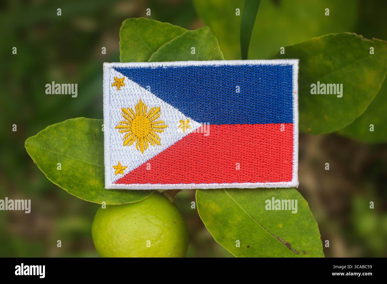 Drapeau philippin brodé écologique sur le citronnier avec des citrons verts, lumière naturelle du soleil, symbole de durabilité, jour de la Terre et sensibilisation au changement climatique. Banque D'Images