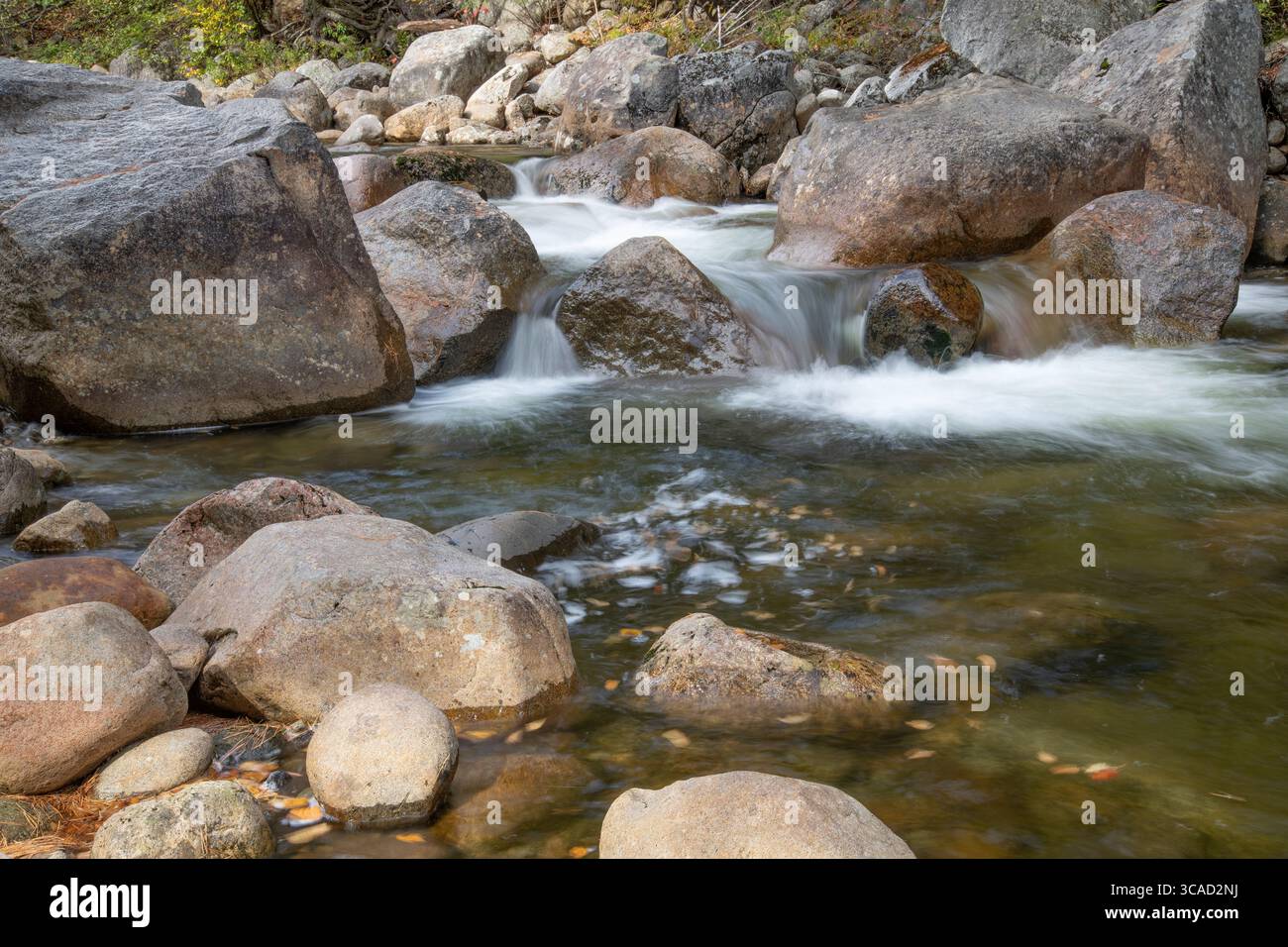 Cascade sur la rivière Pemigewasset, Lincoln Woods, New Hampshire Banque D'Images