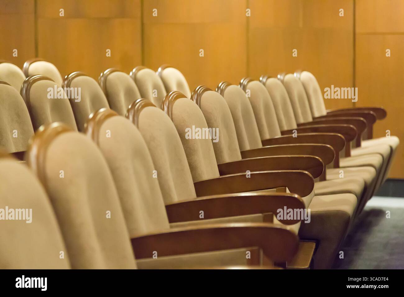 Fauteuils de sièges vintage marron dans le théâtre. Salle de théâtre ou salle de conférence Banque D'Images