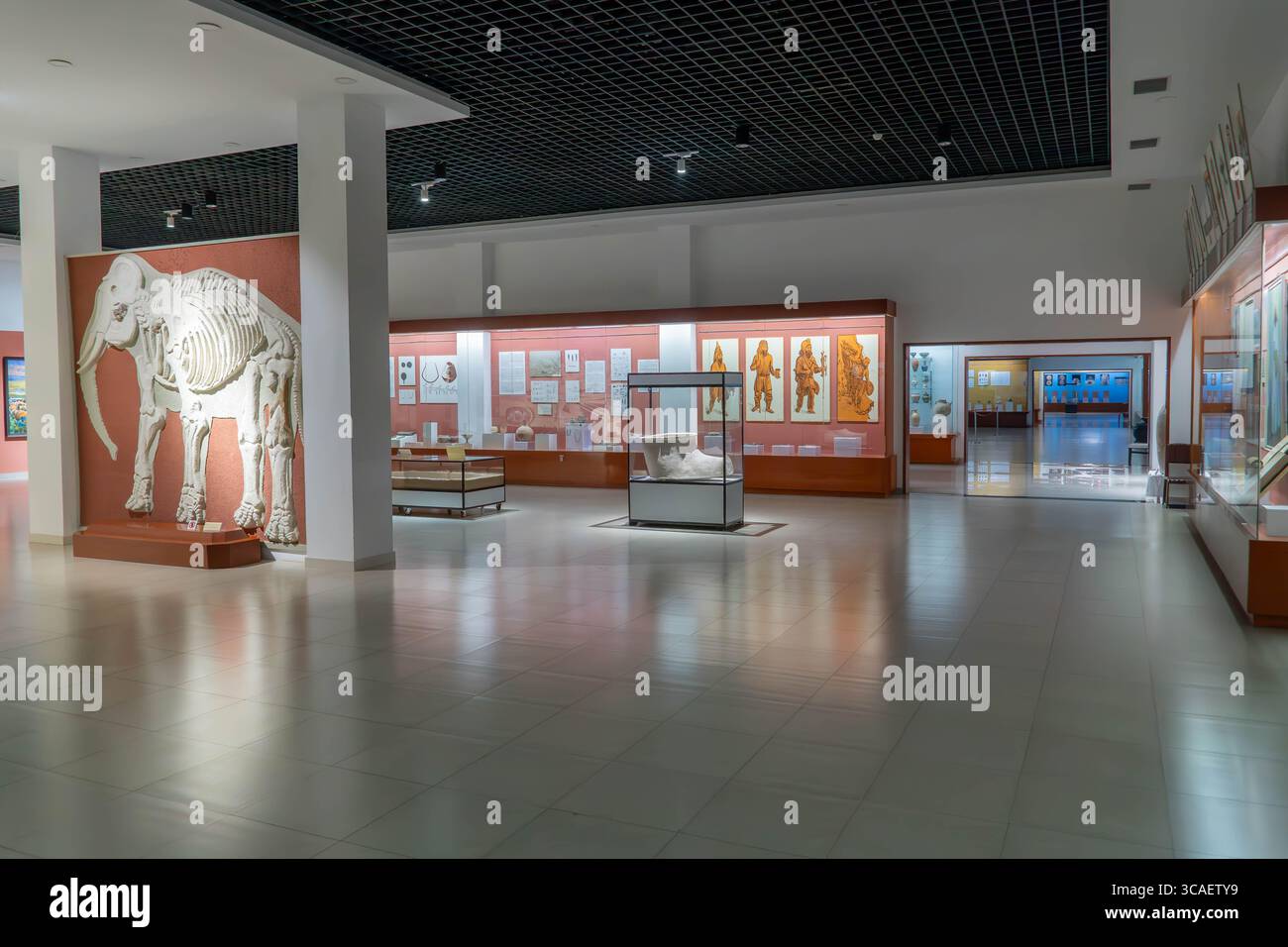Intérieur du Musée national du Tadjikistan à Douchanbé, présentant l'Asie centrale et des expositions d'histoire tadjike avec de riches artefacts sous un éclairage tamisé. Banque D'Images