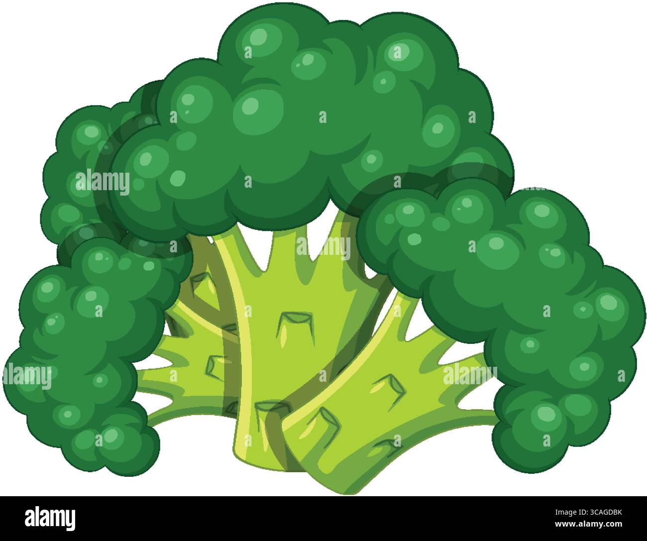 Vecteur lumineux de style cartoon de fleurs de brocoli avec des contours audacieux, des dégradés lisses et des teintes vertes vibrantes. Composition propre et isolée sur BA blanc Illustration de Vecteur