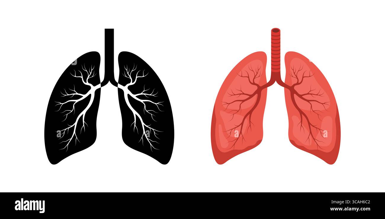 Icône poumon humain. Organe interne rouge et noir. Concept de pneumologie et d'anatomie. Illustration vectorielle médicale dans un style de dessin animé plat Illustration de Vecteur