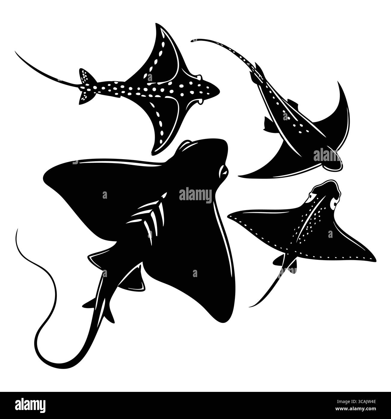 Illustration de silhouette d'Angel Shark raies dans différentes poses en noir et blanc Illustration de Vecteur