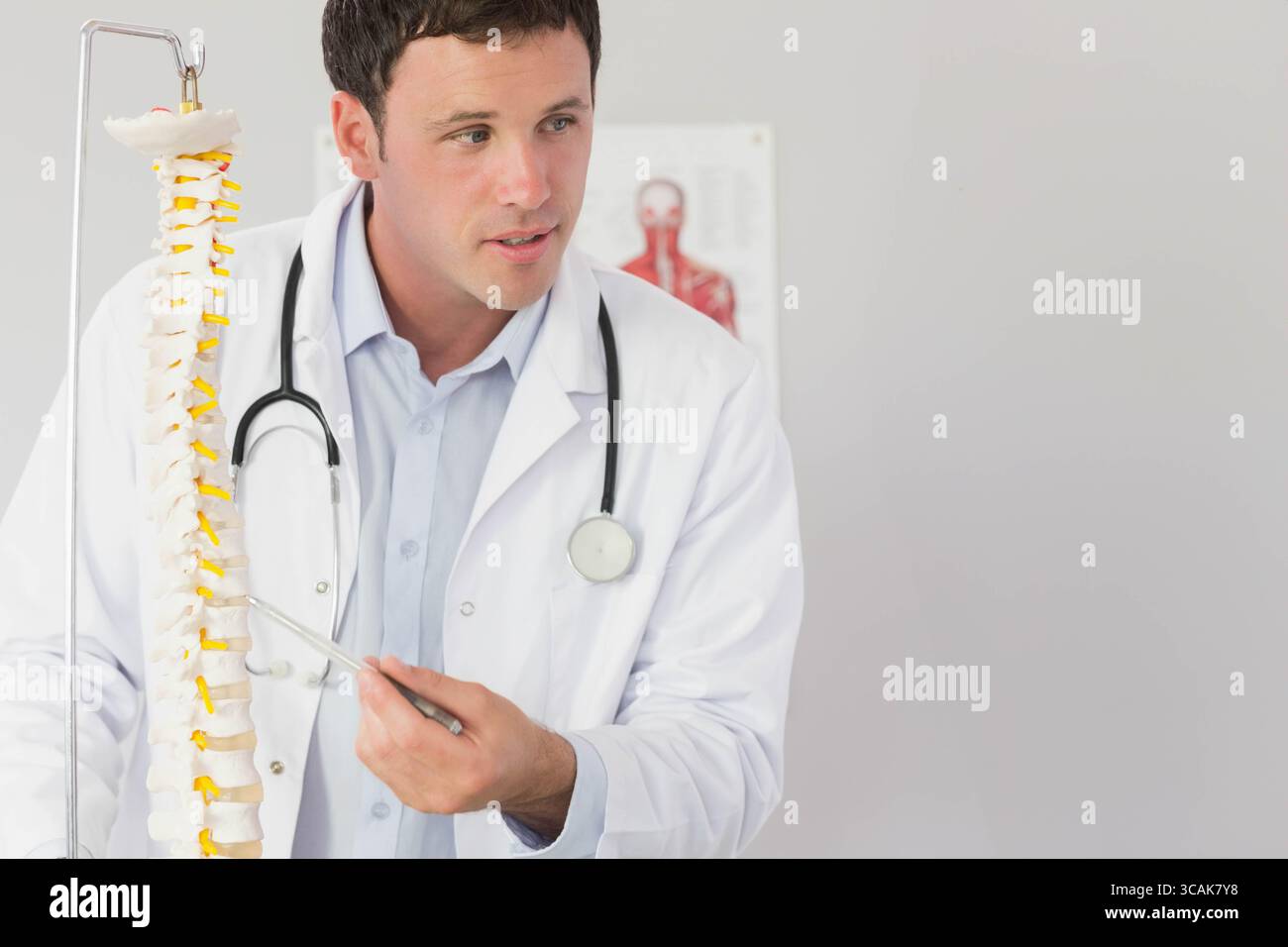 Médecin masculin pointant sur le modèle de colonne lombaire avec pointeur en métal dans la salle d'examen portant un stéthoscope Banque D'Images