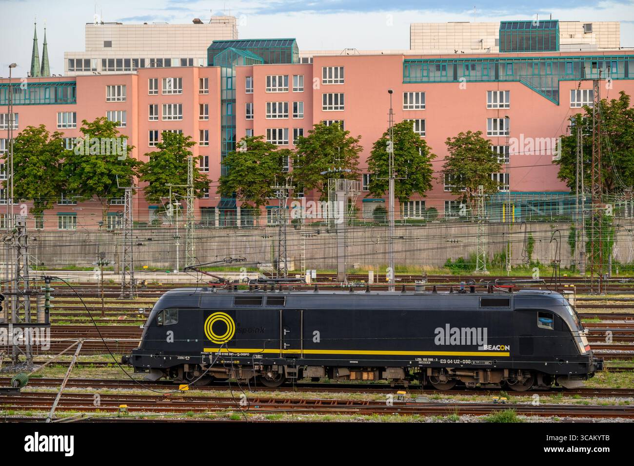 Trains à la gare centrale de Munchen Hauptbahnhof, gare principale de Munich, Allemagne, le 13 juillet 2025 Banque D'Images