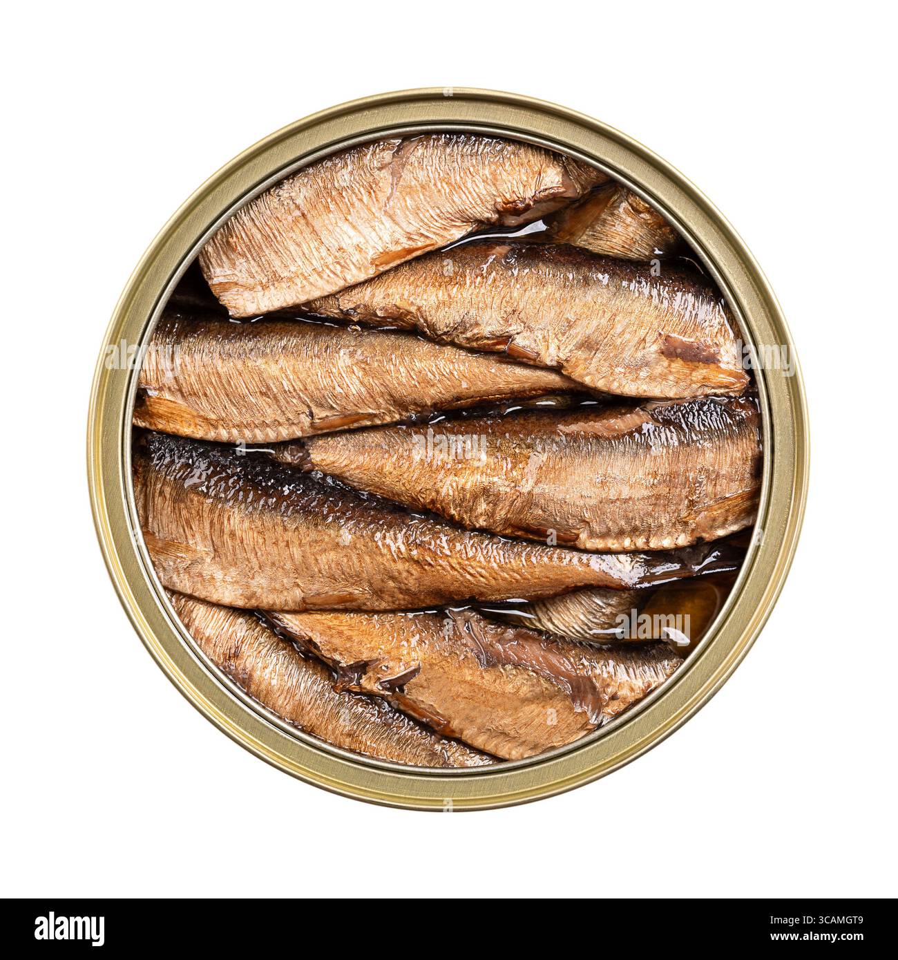 Sprats fumés dans de l'huile végétale dans une boîte ouverte. Sprats européens fumés en conserve dans l'huile. Sprattus sprattus, un petit poisson marin. Banque D'Images