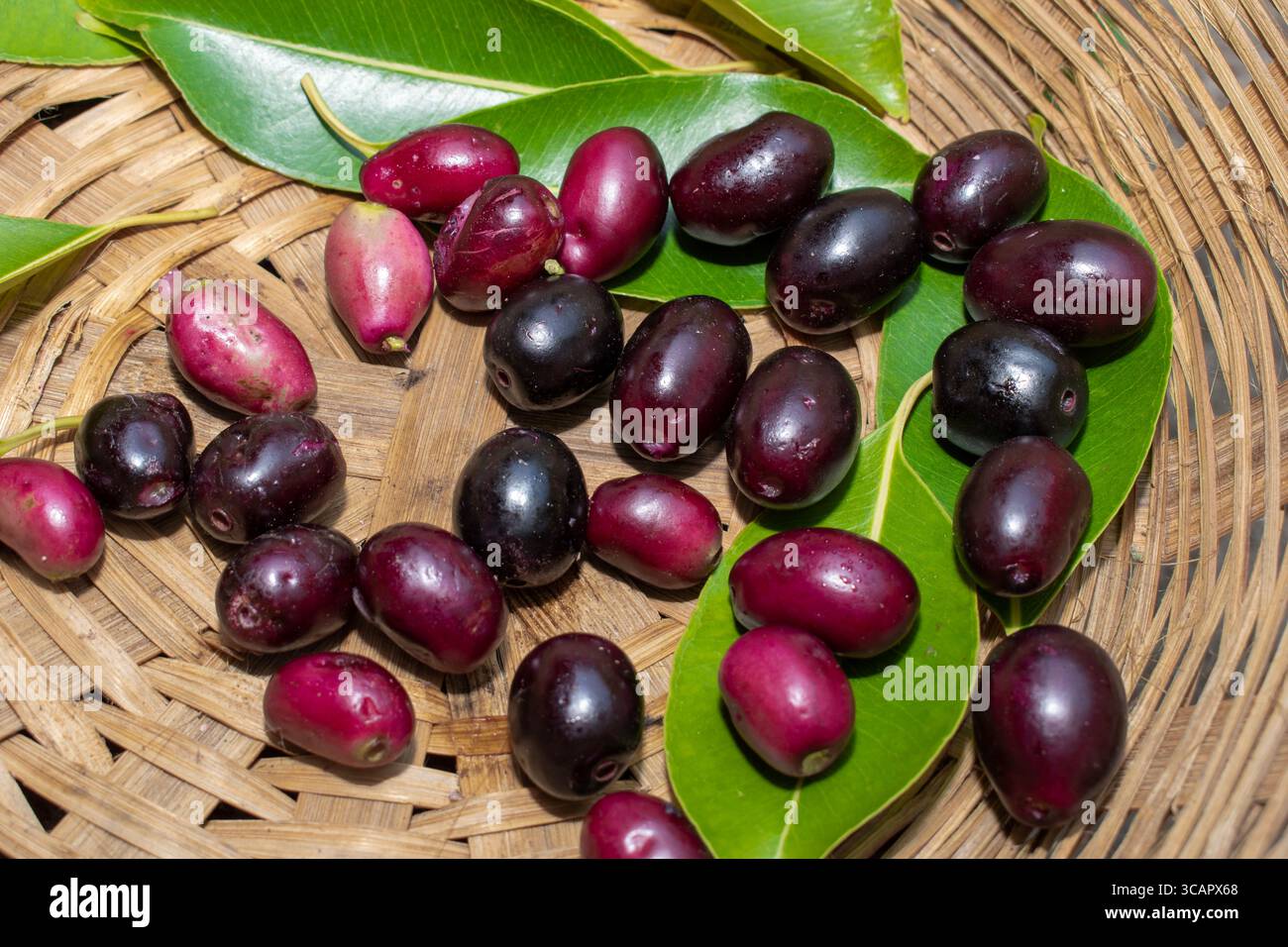 Jamun ou Syzygium Cumini fruit avec des feuilles dans un panier en bambou sur fond de bois Banque D'Images