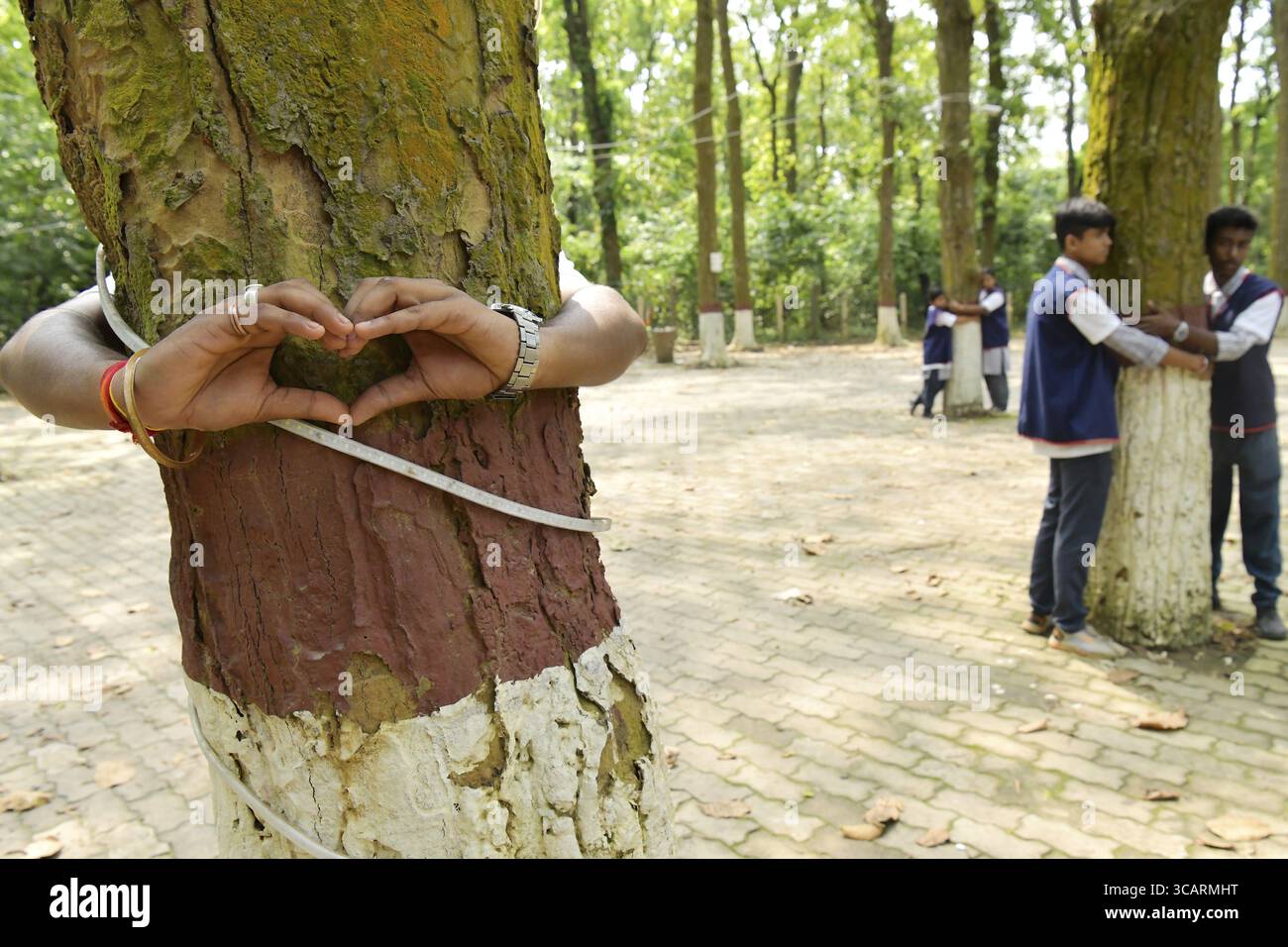 Mains formant une forme de coeur autour d'un tronc d'arbre avec les gens dans le parc, exprimant l'amour pour la nature Banque D'Images