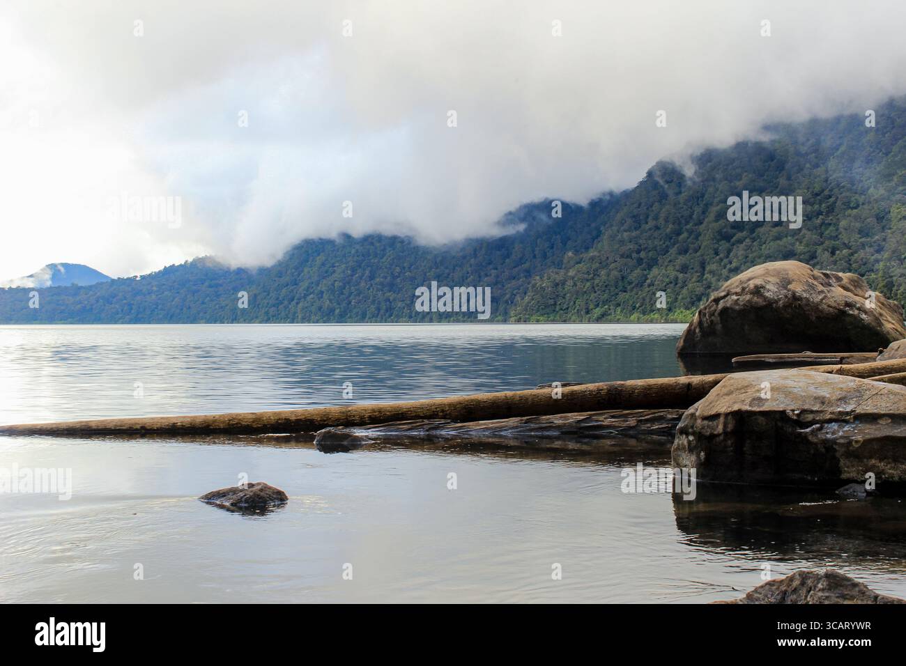 Paysage de lac tranquille avec montagnes et rochers de forêt brumeuse au premier plan Banque D'Images