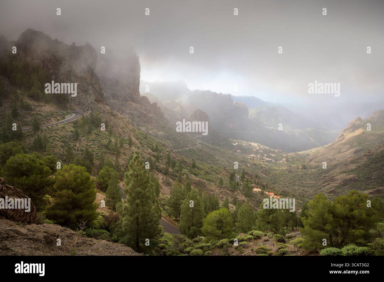 Le brouillard se dissipe sur la route de passage à la réserve de Roque Nublo, Gran Canaria, îles Canaries, Espagne, Europe Banque D'Images