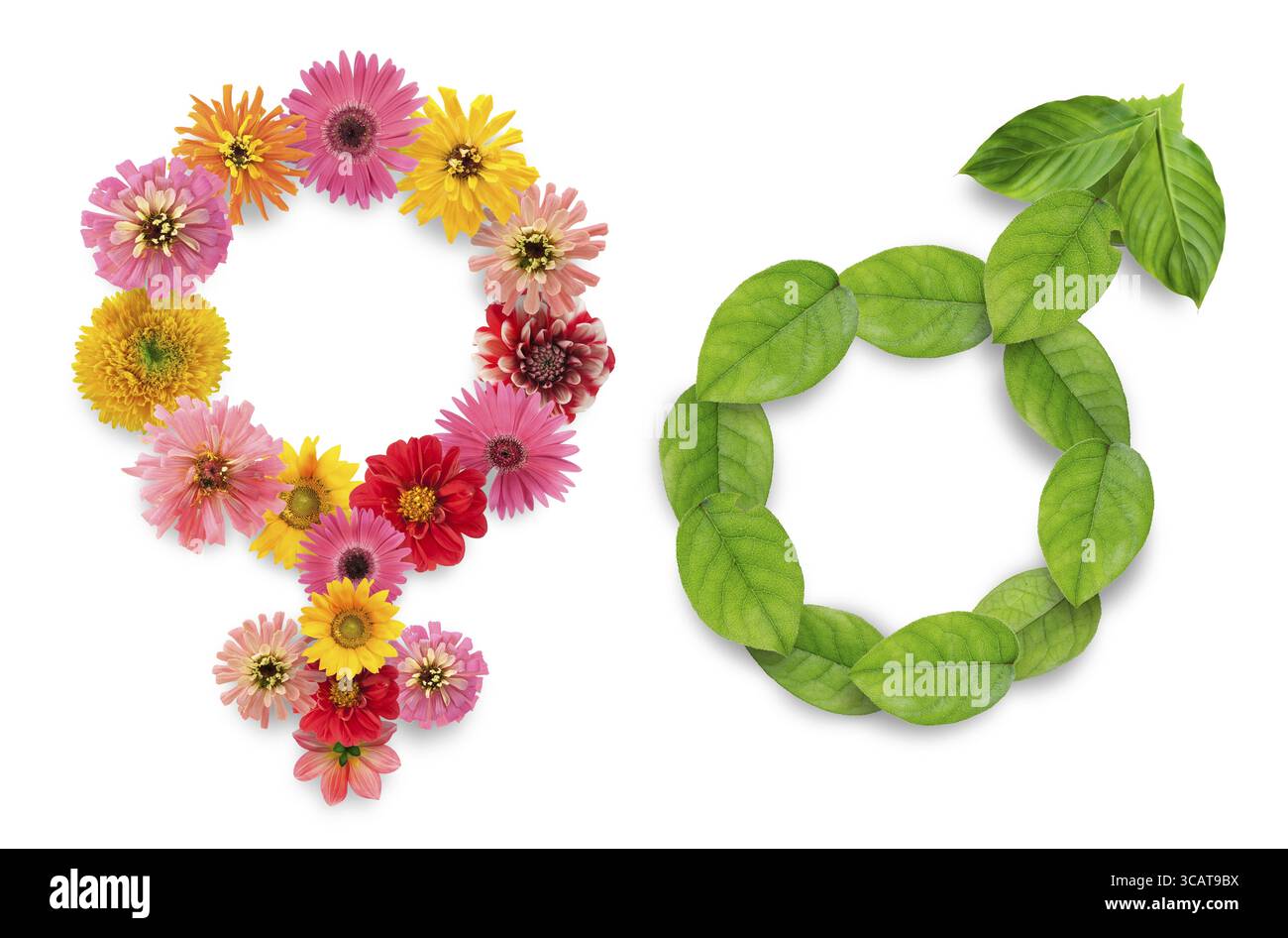 L'homme et les femmes fleurs et feuilles de caractères Banque D'Images