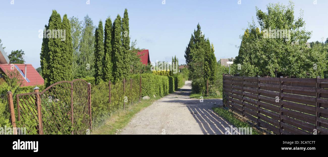 Vue en perspective de la route et des haies vertes dans le village européen pauvre standard. Collage panoramique à partir de plusieurs photos de jour ensoleillé d'été Banque D'Images