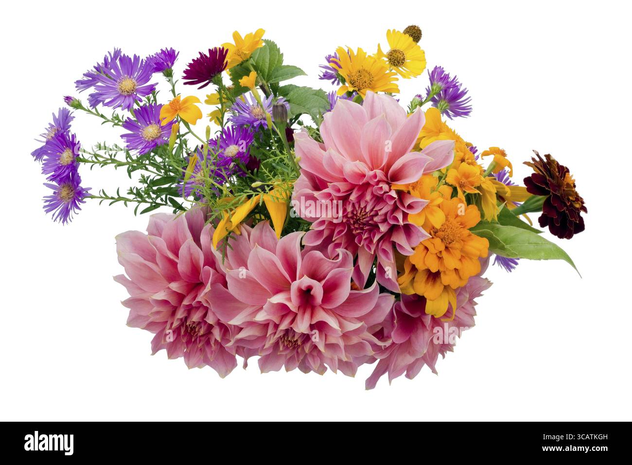 Du simple bouquet de fleurs jardin européen de septembre. Isoler sur gros plan blanc Banque D'Images