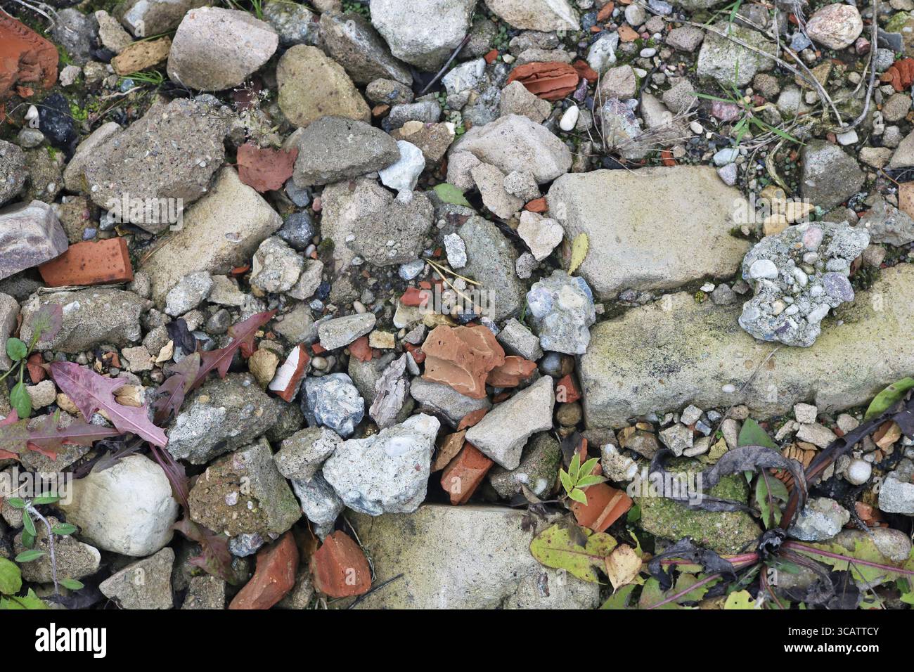 Des morceaux de béton cassé et de briques usagés polluent le fond de la surface de la forêt Banque D'Images
