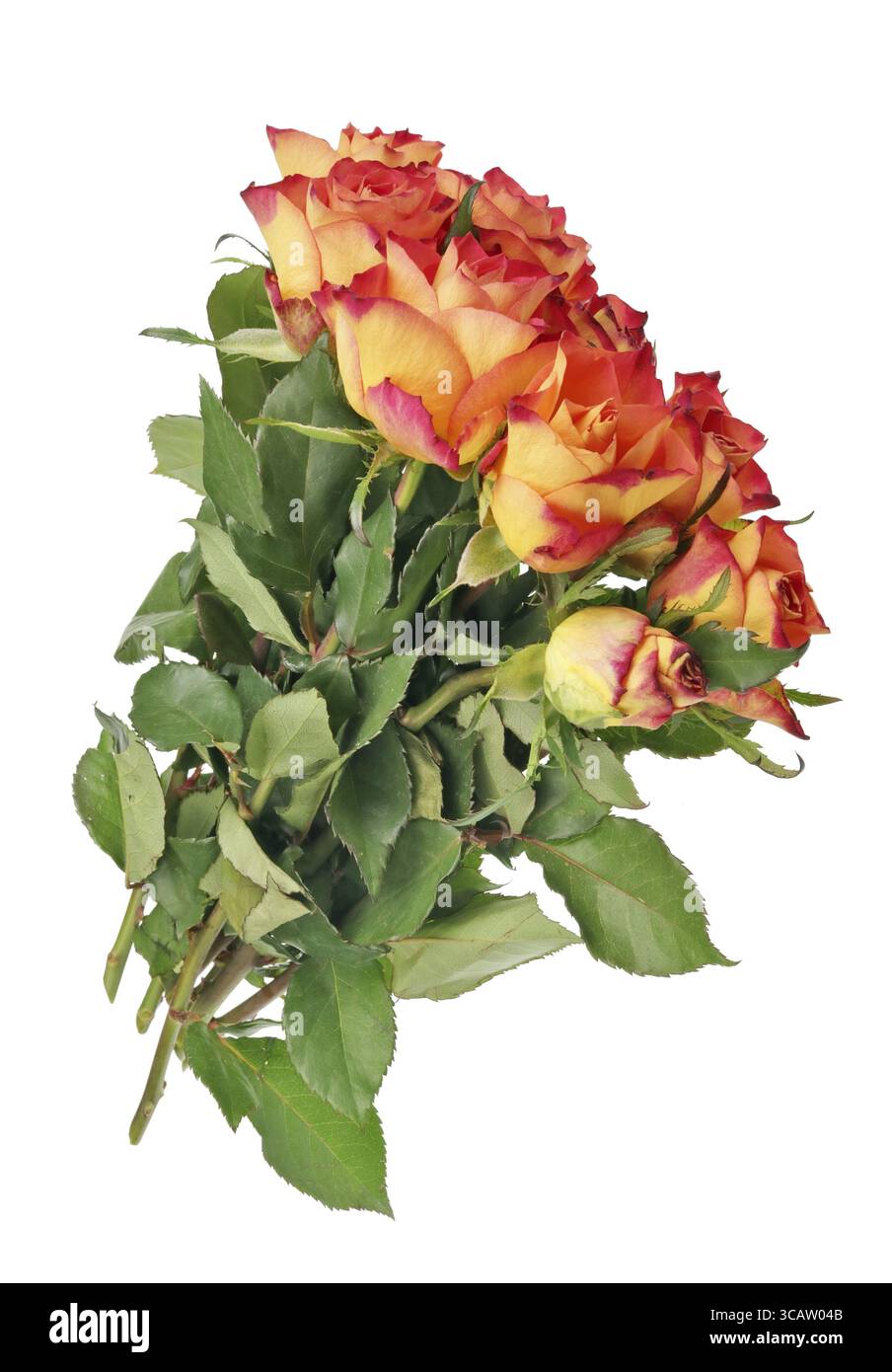 Un vrai mariage bouquet de roses rouges volant dans l'air. Isolated on white studio shot Banque D'Images