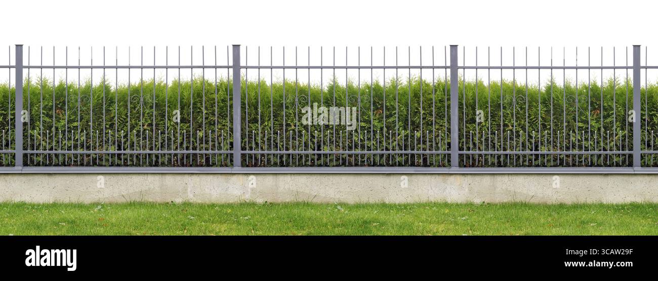 Village en métal production de masse longue clôture grise isolé panorama collage. Derrière la clôture se développe une haie à feuilles persistantes de l'arbre Thuja Banque D'Images Village en métal production de masse longue clôture grise isolé panorama collage. Derrière la clôture se développe une haie à feuilles persistantes de l'arbre Thuja Banque D'Images