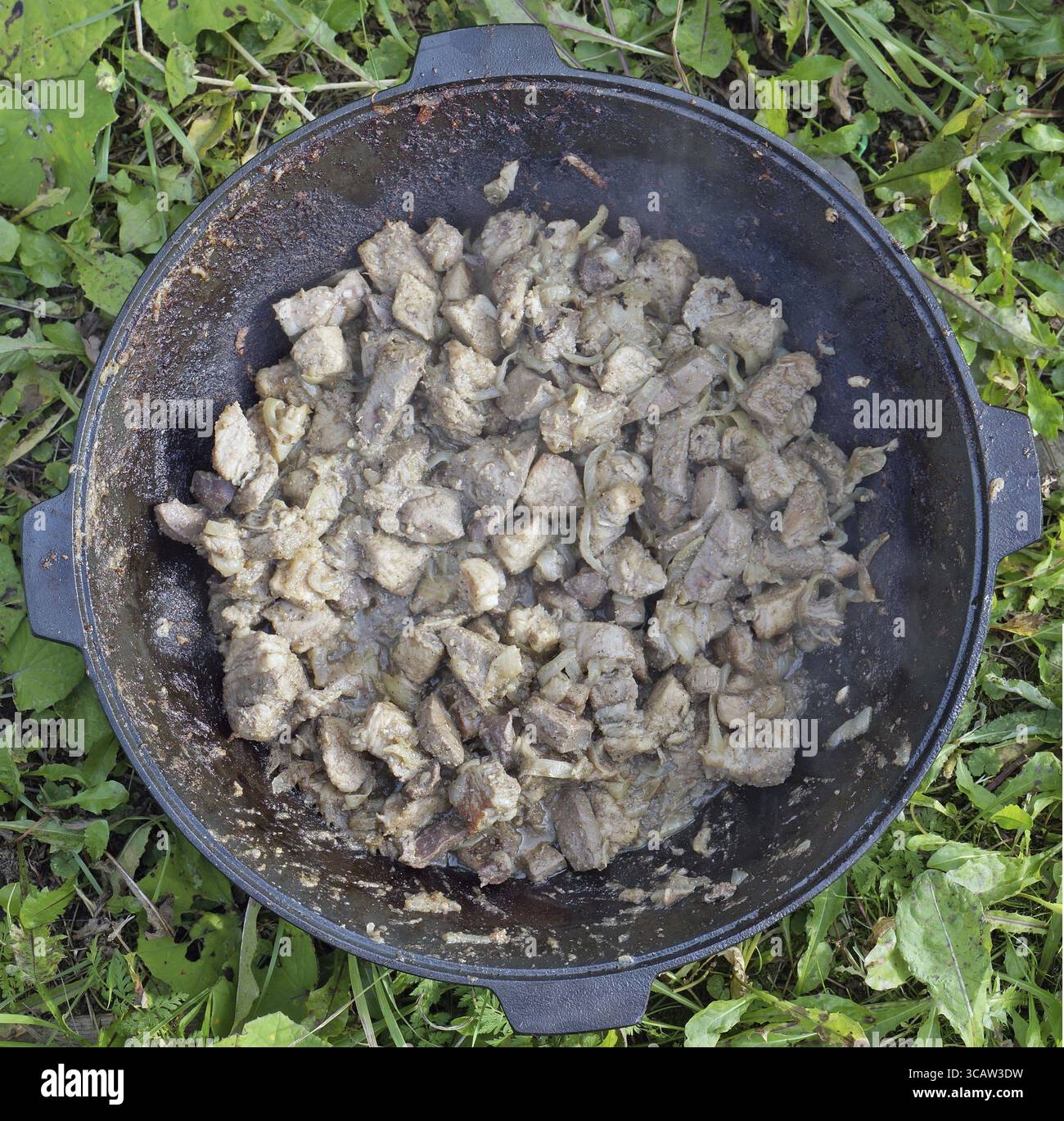 Un grand chaudron en fonte avec des morceaux de viande frite et des oignons se dresse sur l'herbe verte. Image vue de dessus comme un concept pour manger cuit sur le bûcher Banque D'Images