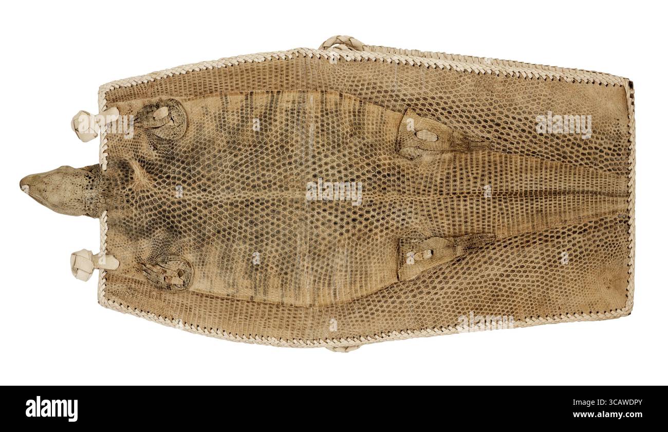 L'amulette en cuir de lézard desséché faite à la main des tribus sauvages du désert africain. Isolé. Il y a des fragments de coussinets d'animaux et de main Banque D'Images