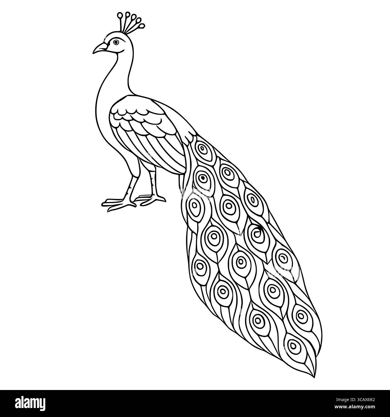 Illustration vectorielle élégante d'un paon avec des plumes finement détaillées, parfaite pour colorer des livres, des impressions textiles ou des dessins décoratifs. Illustration de Vecteur