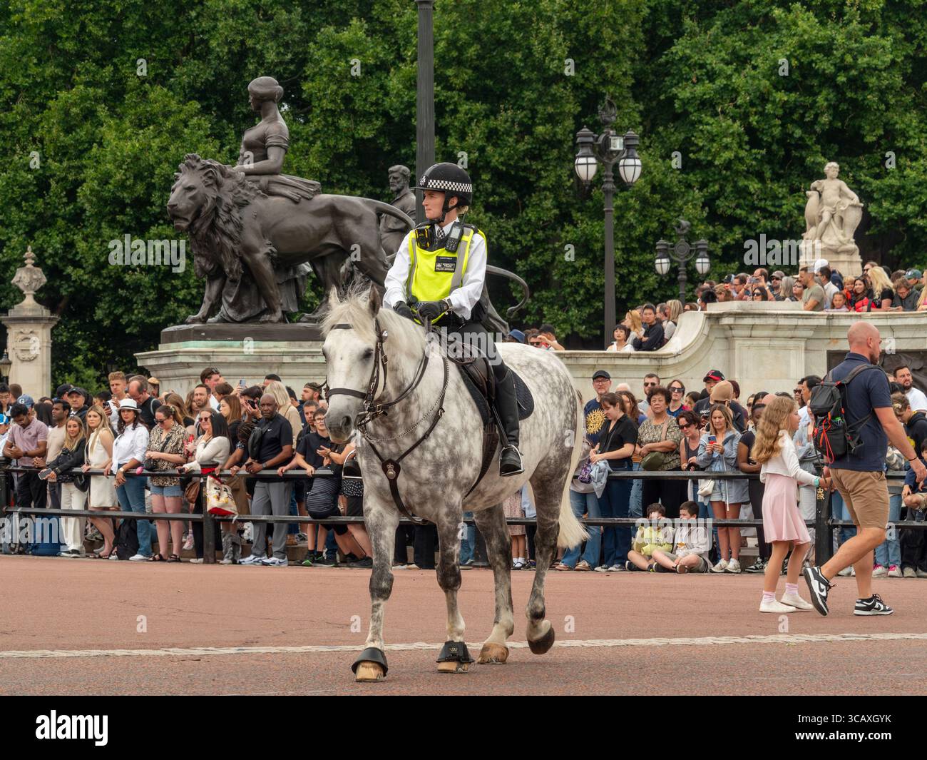 Un officier monté de la police métropolitaine en service à une parade royale devant Buckingham Palace, avec des foules de touristes regardant, Londres, Royaume-Uni. Banque D'Images