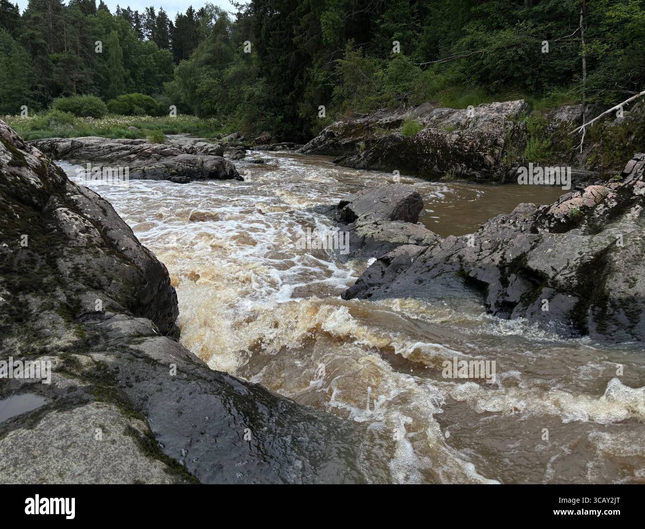 Rapides de Nautelankoski à Turku, Finlande. Banque D'Images