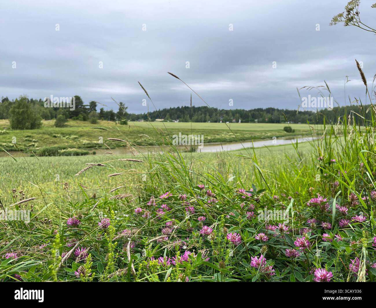 Le long de la rivière Aurajoki dans le sud-ouest de la Finlande Banque D'Images