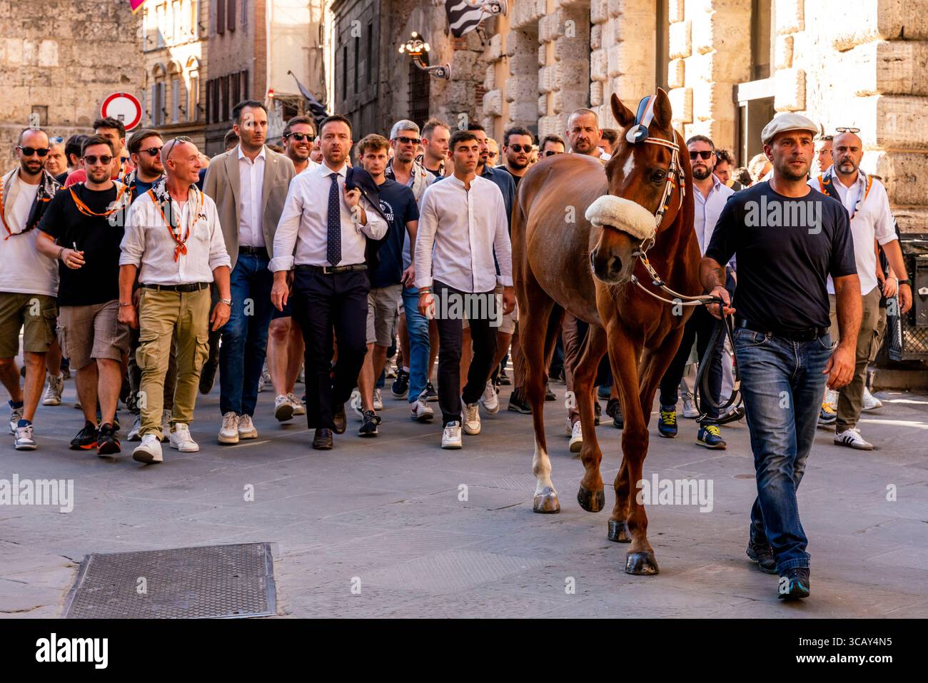 La Lupa Contrada et le cheval font leur chemin à travers les rues de la ville jusqu'à la Piazza del Campo pour une course d'essai en soirée, le Palio, Sienne, Italie. Banque D'Images