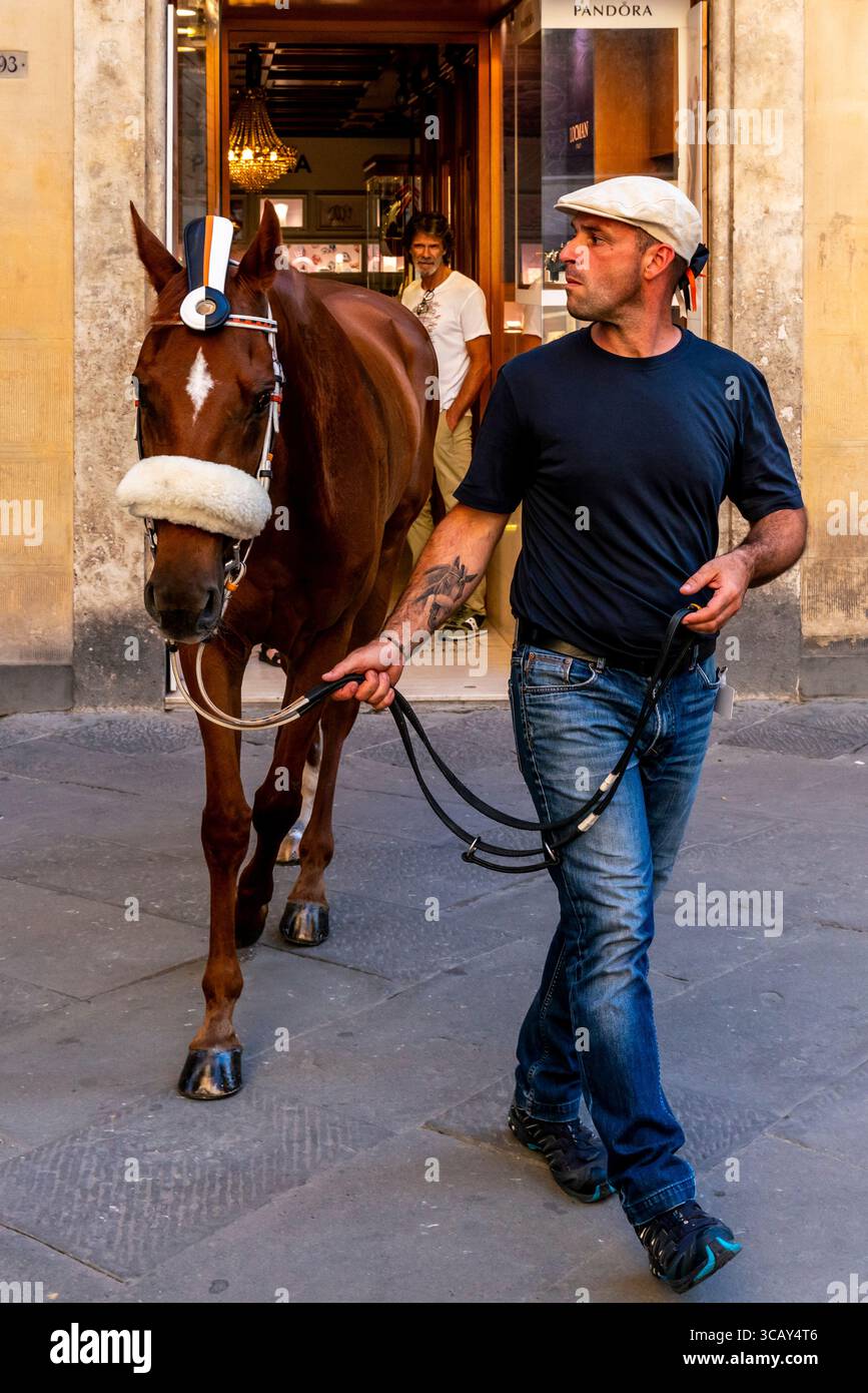 Le cheval et le marié de la Lupa Contrada marchent à travers les rues de la ville à la Piazza del Campo pour une course d'essai en soirée, le Palio, Sienne, Italie. Banque D'Images