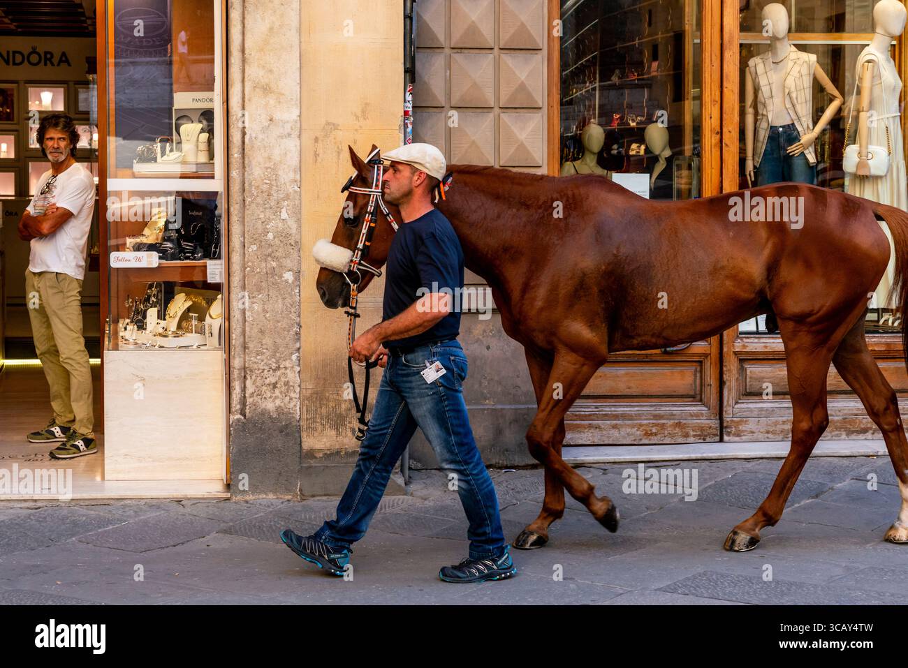 Le cheval et le marié de la Lupa Contrada marchent à travers les rues de la ville à la Piazza del Campo pour une course d'essai en soirée, le Palio, Sienne, Italie. Banque D'Images