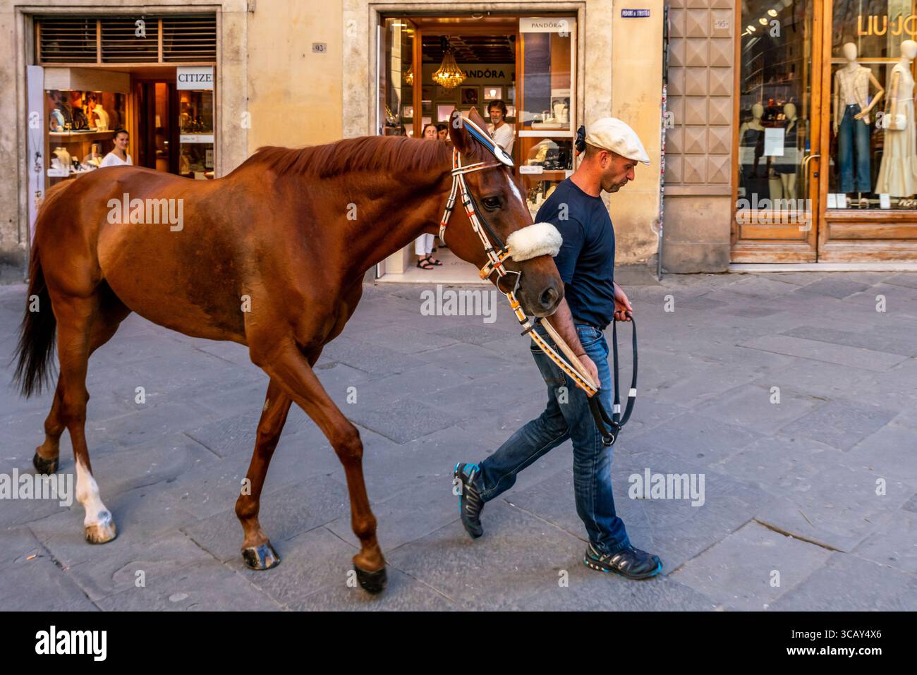 Le cheval et le marié de la Lupa Contrada marchent à travers les rues de la ville à la Piazza del Campo pour une course d'essai en soirée, le Palio, Sienne, Italie. Banque D'Images