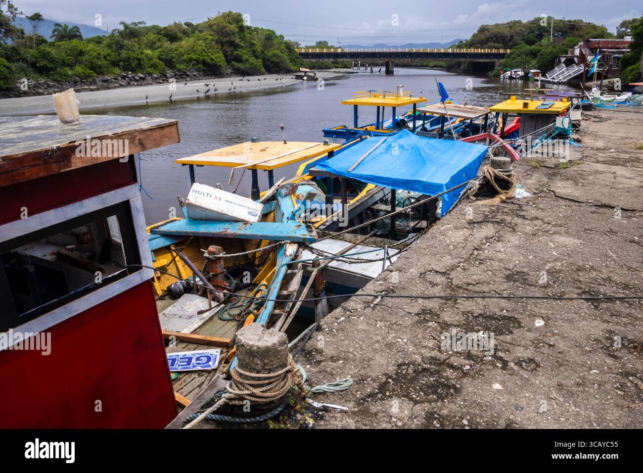 Peruibe, Sao Paulo, 17 janvier 2025. Bateaux de pêche colorés à Peruibe, Brésil. Une scène vibrante de la vie côtière, de la tradition et de la forêt atlantique Banque D'Images