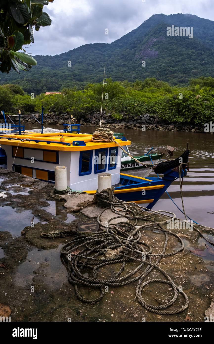 Peruibe, Sao Paulo, 17 janvier 2025. Bateaux de pêche colorés à Peruibe, Brésil. Une scène vibrante de la vie côtière, de la tradition et de la forêt atlantique Banque D'Images