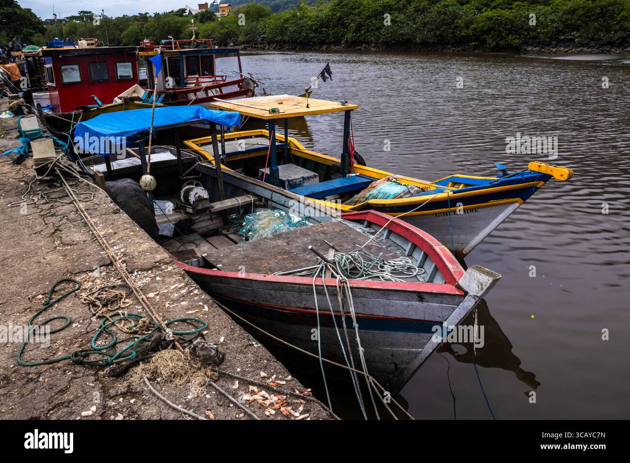 Peruibe, Sao Paulo, 17 janvier 2025. Bateaux de pêche colorés à Peruibe, Brésil. Une scène vibrante de la vie côtière, de la tradition et de la forêt atlantique Banque D'Images