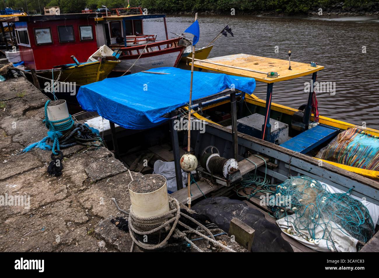 Peruibe, Sao Paulo, 17 janvier 2025. Bateaux de pêche colorés à Peruibe, Brésil. Une scène vibrante de la vie côtière, de la tradition et de la forêt atlantique Banque D'Images