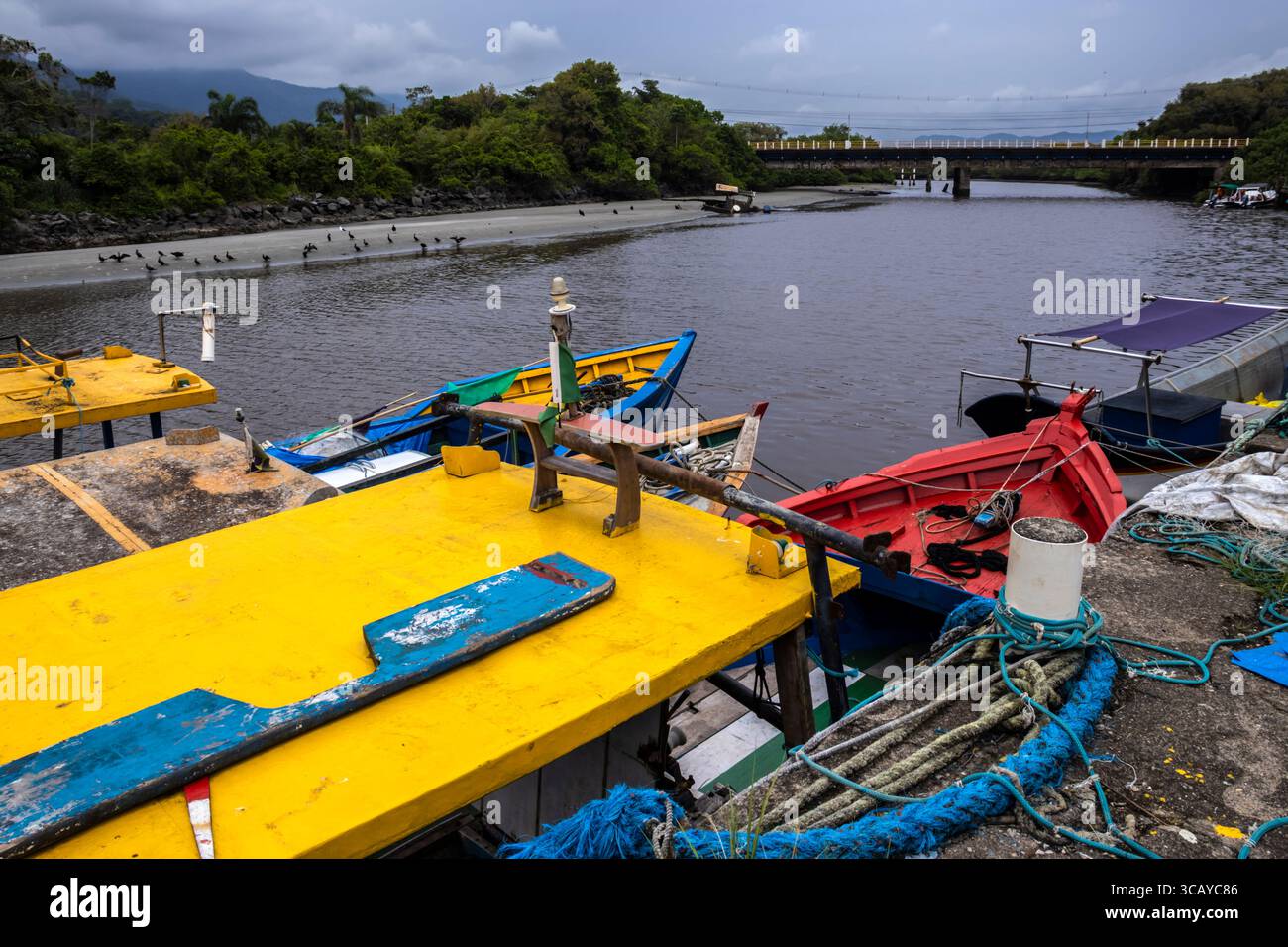 Peruibe, Sao Paulo, 17 janvier 2025. Bateaux de pêche colorés à Peruibe, Brésil. Une scène vibrante de la vie côtière, de la tradition et de la forêt atlantique Banque D'Images