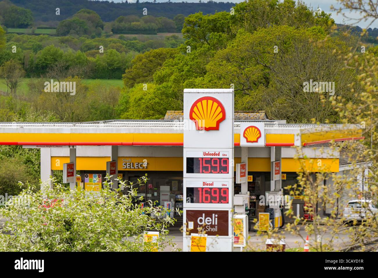 Taunton, Somerset, Angleterre, Royaume-Uni - 23 avril 2025 : affichage numérique des prix du carburant dans une station-service exploitée par Shell sur les services de Taunton Deane Banque D'Images