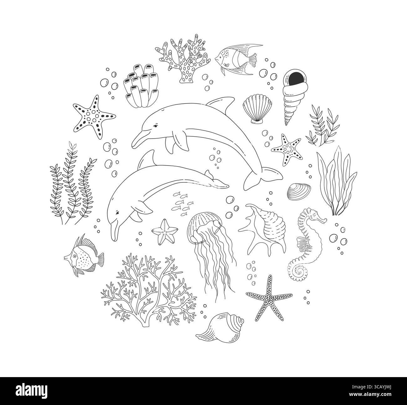 Ensemble avec des éléments de vie marine dessinés à la main. Beau monde sous-marin dans le style de ligne. Ensemble de contours vectoriels d'objets océaniques. Poissons, méduses, dauphins, coquillages Illustration de Vecteur