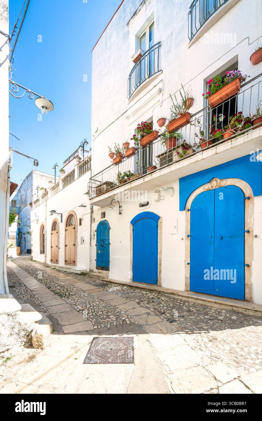 Une rue dans la vieille ville de Peschici avec ses maisons blanches typiques. Péninsule du Gargano, Pouilles ou région des Pouilles, Italie, Europe Banque D'Images