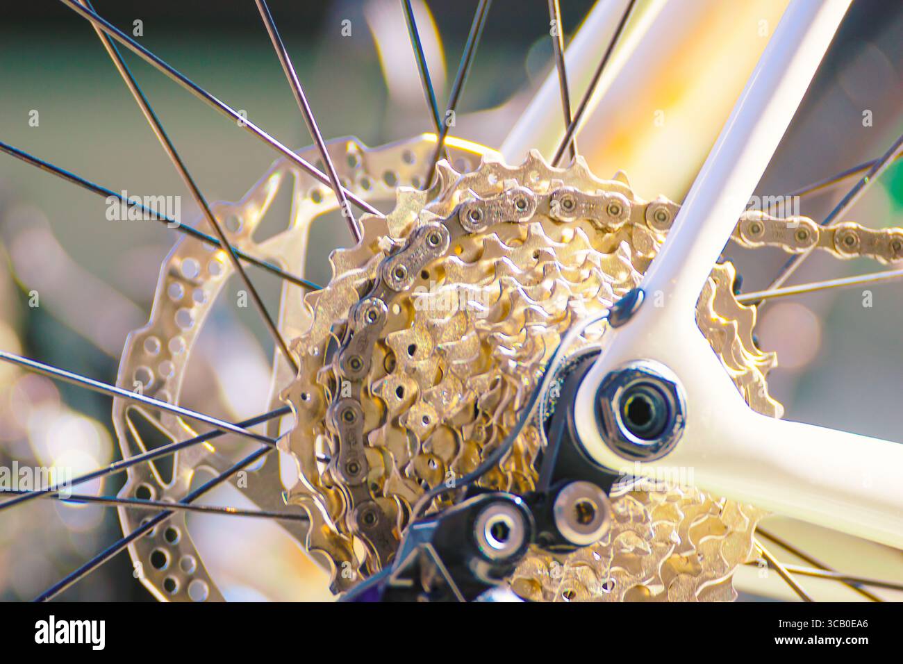 La technologie moderne des engrenages d'un vélo de route ou de montagne. Une technologie de vélo moderne Banque D'Images